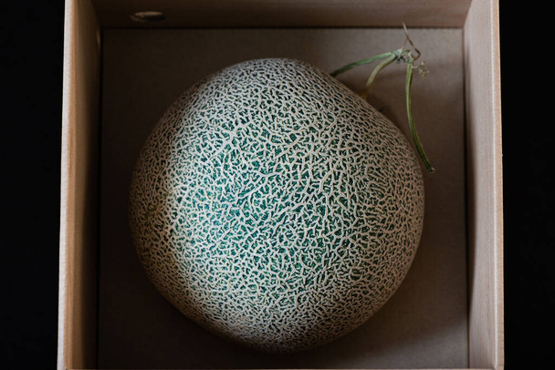 Primer plano del crecimiento orgánico del melón de alta calidad por el jardinero japonés en el uso de la casa de cristal para el regalo a la persona especial Yubari Japón
. - Foto, Imagen