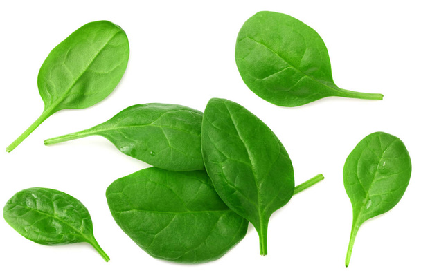 spinach leaves isolate on white background. Healthy food. - Valokuva, kuva