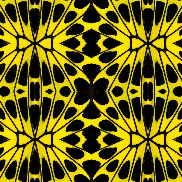 Special pattern background from yellow and black bird wing butterfly wing skin - 写真・画像