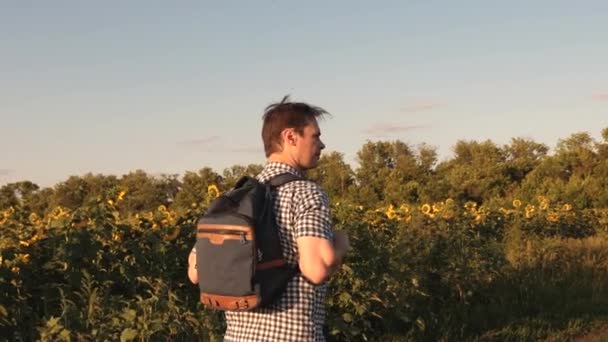 boer onderzoekt zijn veld met een bloeiende zonnebloem. De mens reist door het veld met zonnebloemen bij zonsondergang. man reist door het platteland met rugzak, hij loopt rond gele zonnebloem veld. - Video