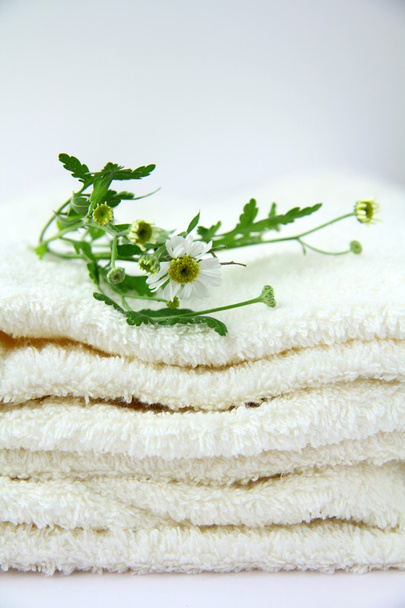 Asciugamano bianco
 - Foto, immagini