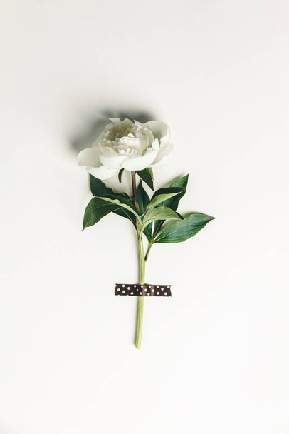 Flat-lay of Beautiful peony flower taped on white background - Photo, Image