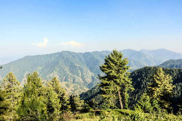 Thandiani είναι ένας σταθμός λόφο στην περιοχή Galyat του Khyber Pakhtunkhwa η επαρχία του Πακιστάν. - Φωτογραφία, εικόνα
