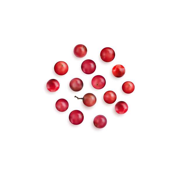 Grani di pepe rosso isolati su sfondo bianco vista dall'alto. Illustrazione vettoriale realistica di grani di pepe rosa, rosa baie, schinus molle, pepe peruviano o semi di schinus terebinthifolia - Vettoriali, immagini