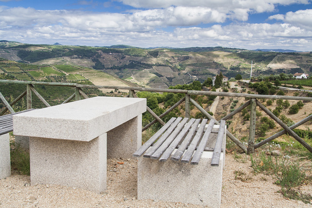 υπερυψωμένος αμπελώνες στην κοιλάδα douro - Φωτογραφία, εικόνα