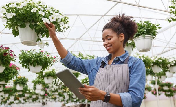 Modern climate control in greenhouse with smart technologies. Woman with digital tablet checks flowers in pot - Photo, Image