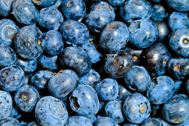 Blueberry - Foto, Imagem