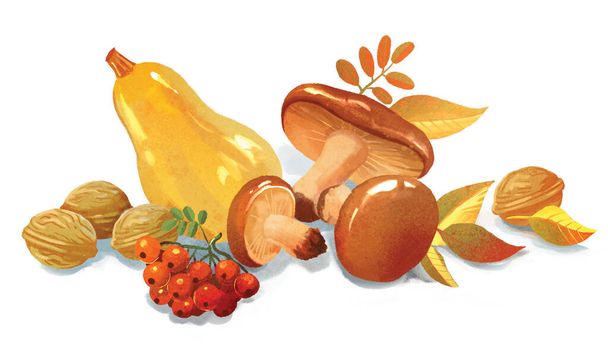 Autumn still life of fruits and vegetables. Hand-drawing Illustration. Isolated on white background - Φωτογραφία, εικόνα