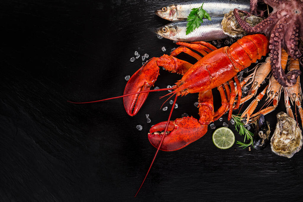 Fresh tasty seafood served on black stone table. - Foto, Bild