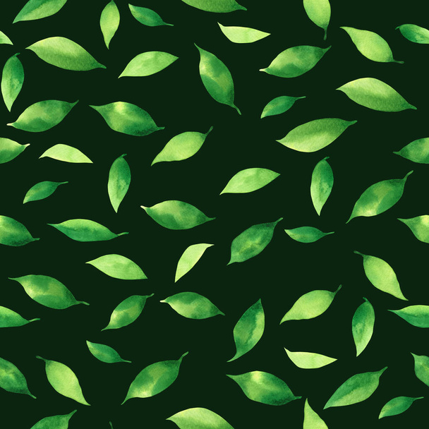 水彩画新鮮な落下葉、緑の葉のシームレスなパターンの背景。水彩手描きイラスト壁紙のための熱帯エキゾチックな葉のプリント、織物ハワイアロハジャングルスタイルのパターン. - 写真・画像