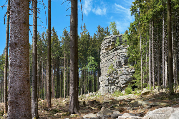 Feuersteinklippe u Schierke v národním parku Harz v Německu                                 - Fotografie, Obrázek