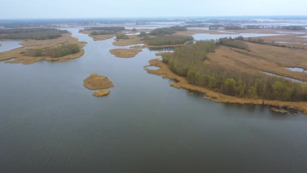Aero landskape del delta fiume Dnepr. Filmati dei droni - Filmati, video