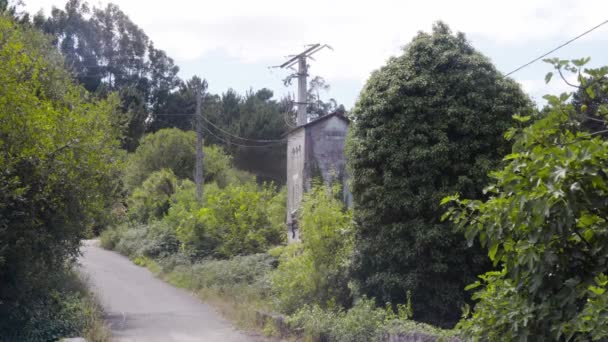 stará elektrická věž obklopená zelení - Záběry, video