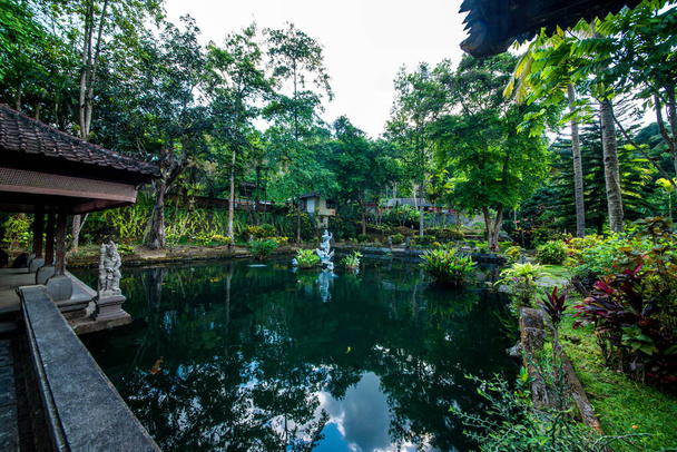 Pond in Gunung Kawi Sebatu Temple, Indonesia - Foto, immagini