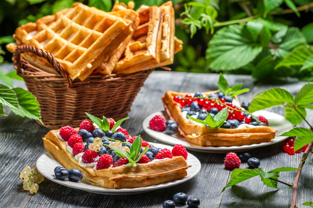 Waffles with fresh collected berry fruit - Fotoğraf, Görsel