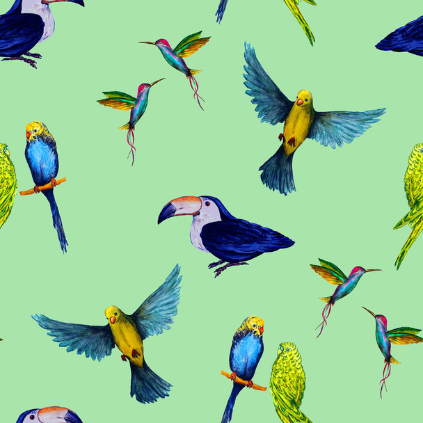 Watercolor seamless pattern with bird (parrots,toucans, hummingbirds). Exotic jungle bird wallpaper. Great design for any purposes. Bright summer print. - Photo, Image