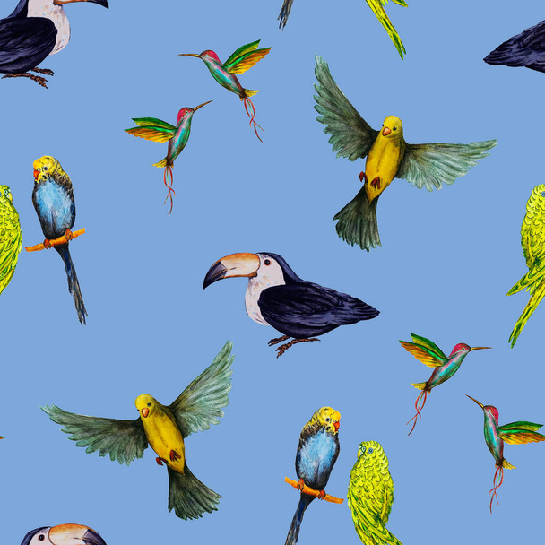 Watercolor seamless pattern with bird (parrots,toucans, hummingbirds). Exotic jungle bird wallpaper. Great design for any purposes. Bright summer print. - Photo, image