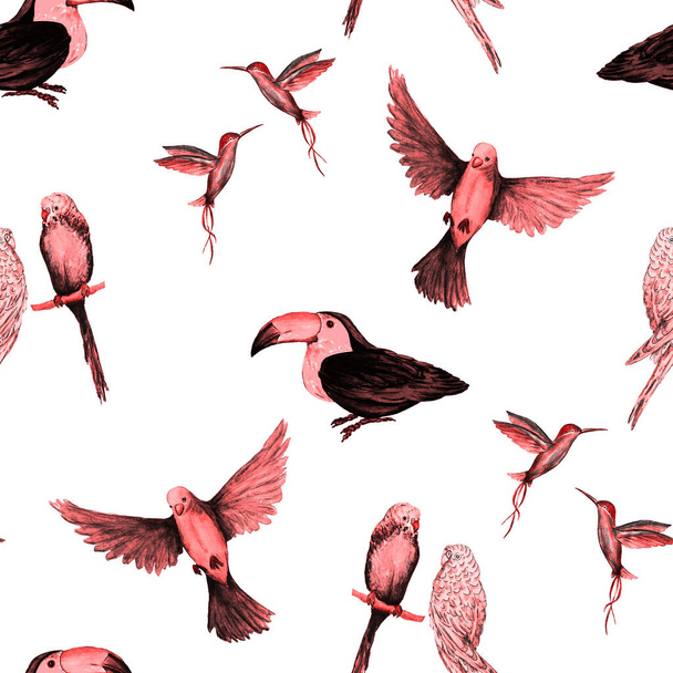 Watercolor seamless pattern with bird (parrots,toucans, hummingbirds). Exotic jungle bird wallpaper. Great design for any purposes. Bright summer print. - Фото, зображення