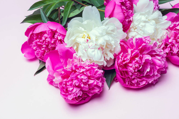 ピンクを基調とした白とフクシアの牡丹の花束。平面構成、コピースペース、閉じる、上のビュー - 写真・画像