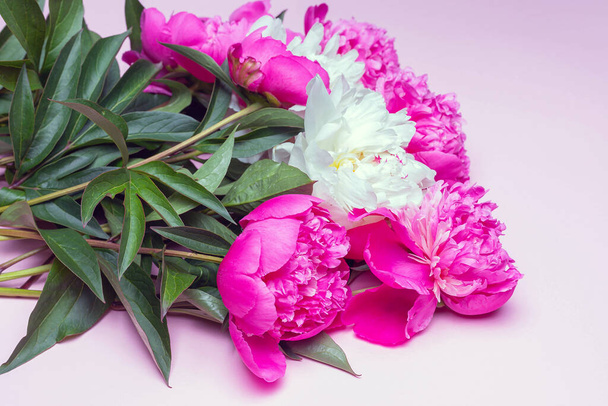 Side view of mix peonies bouquet isolated on pink background. Flat lay composition, copy space, close up - Φωτογραφία, εικόνα