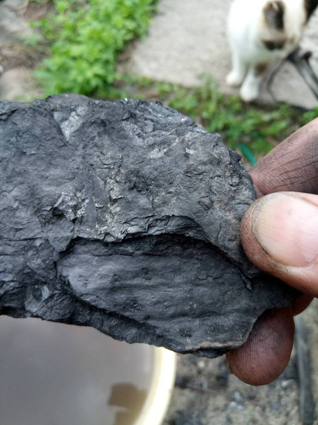 fossilisoitunut jäännökset kasvien hiili, musta, miljoonaa, vuotta, antiikin - Valokuva, kuva