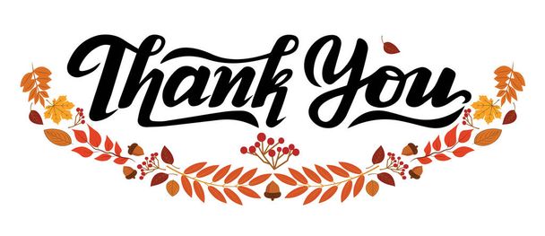 thank you lettering, vector illustrations, typography or calligraphy design, - ベクター画像