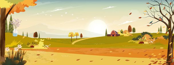 Podzimní krajiny s křehkými poli dřevěné stodoly a travnaté plochy v kopcích, Přírodní zeleň pozadí na podzim seson s krásným panoramatickým výhledem s západem slunce za montains a listí padající ze stromu  - Vektor, obrázek