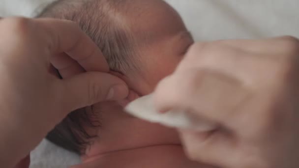 infancy, childhood, motherhood, hygiene, medicine and health concept - female moms hand wipes the ears of newborn naked baby with cotton pad lying in diaper on back with navel clamped by medical clip - Video