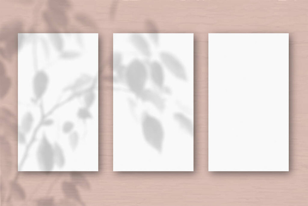 3 vertical sheets of textured white paper on soft peach table background. Mockup with an overlay of plant shadows. Natural light casts shadows from an exotic plant. Horizontal orientation. - Photo, Image