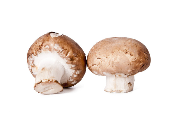 Mushrooms - Photo, Image