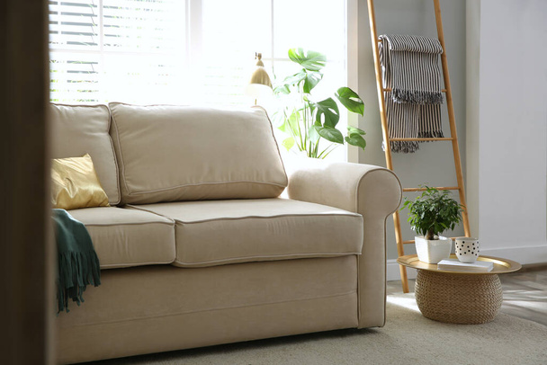 Stylish beige sofa in modern living room interior - Fotoğraf, Görsel