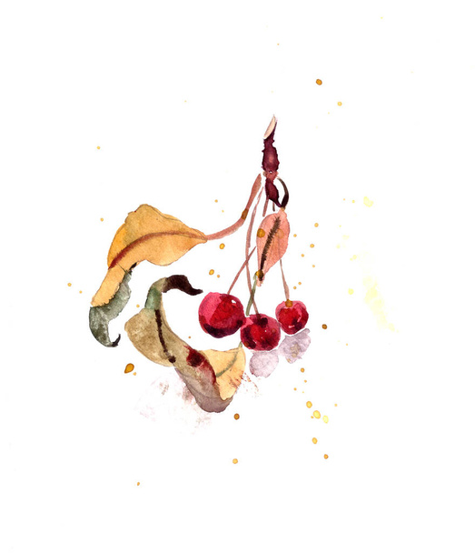 akvarel kresba sada podzimních listů a malé okrasné ráj jablka. Vysoce kvalitní ilustrace - Fotografie, Obrázek