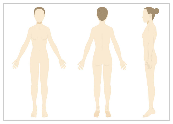 Frau / ganzer Körper / nackt / gesichtslos - Vektor, Bild