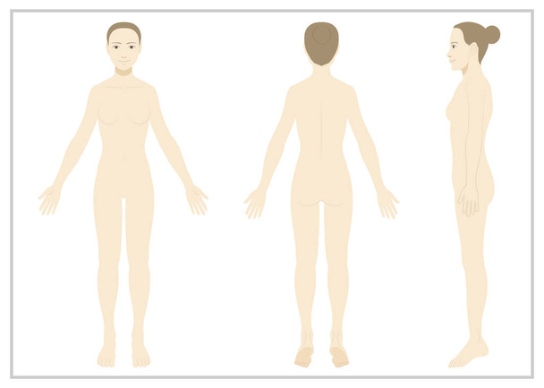 Γυναίκα / ολόκληρο το σώμα / εσώρουχα / πεπλατυσμένο - Διάνυσμα, εικόνα