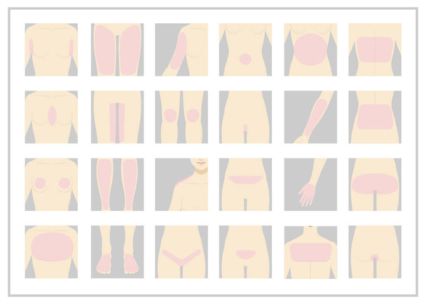 Mujer / partes del cuerpo / desnudo / depilación
 - Vector, Imagen