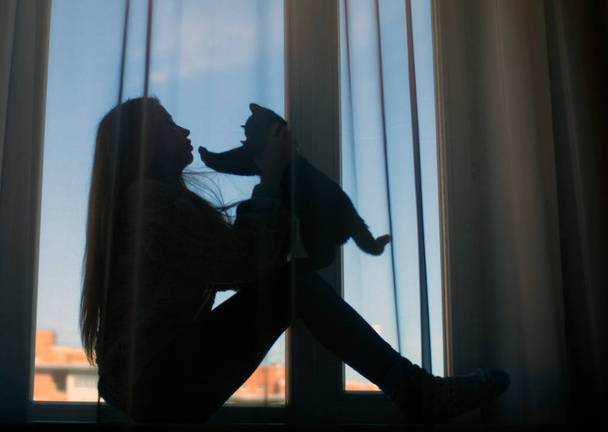Силуэт девушки с распущенными волосами и черным котенком на окне. - Фото, изображение