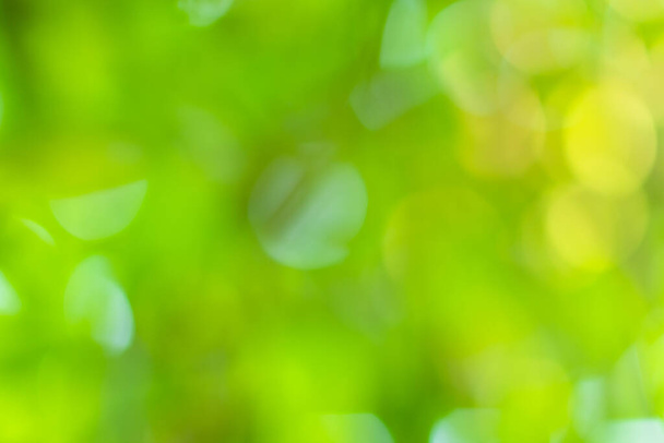 Círculos Bokeh borrosos de luz natural verde
 - Foto, imagen