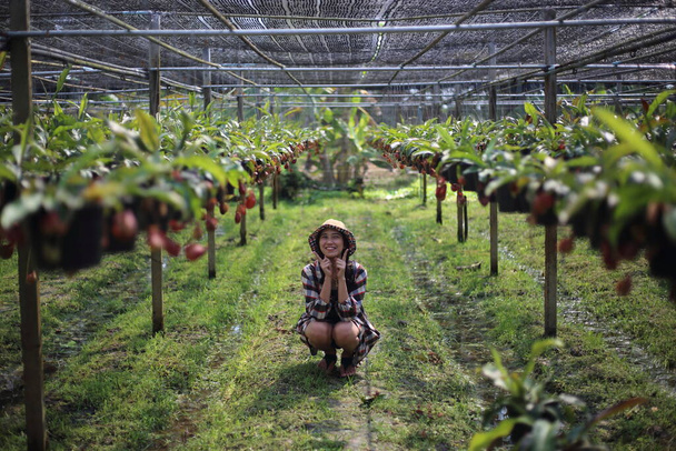 Женщины наслаждаются растением Непентес в Районге, Таиланд
 - Фото, изображение