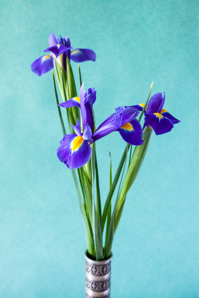 vertikales Stillleben - Bündel frischer Irisblumen in Zinnvase mit kaltgrünem strukturiertem Papierhintergrund (Schwerpunkt Blütenblatt im Vordergrund) - Foto, Bild