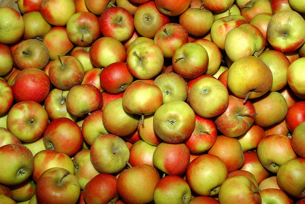 Spousta jablek, detailní záběr - Fotografie, Obrázek