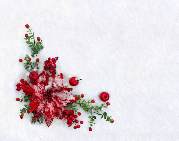 Decoración de Navidad. Flor de poinsettia roja, ramitas árbol de Navidad, manzanas rojas, bayas rojas en la nieve con espacio para el texto. Vista superior, plano
 - Foto, imagen