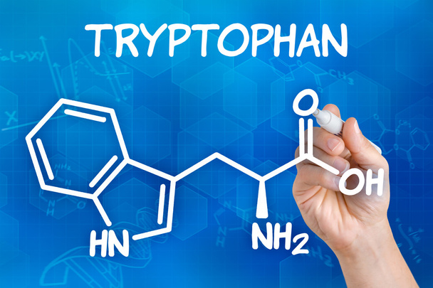 Hand mit Stift zeichnet die chemische Formel von Tryptophan - Foto, Bild