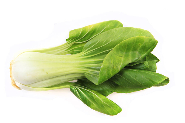 pac-choi traditional chinese vegetable isolated on the white background - Photo, Image