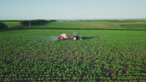 Aerial view. The tractor sprinkles the field with a sunflower. The sprayer processes the pesticide plantation helianthus plantation 4k video. - Video
