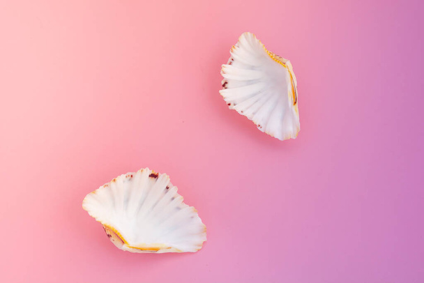Fondo de verano. Rosa pastel con conchas de mar, vista superior. Concepto vacaciones de verano. Vacaciones tropicales
 - Foto, imagen