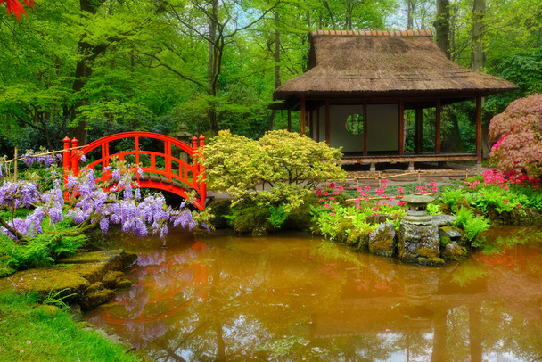 Japon bahçesi, Park Clingendael, Lahey, Hollanda - Fotoğraf, Görsel