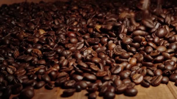 gebrande koffiebonen. Hele koffiebonen, een aangename bruine kleur. Koffie wordt bovenop gegoten. - Video