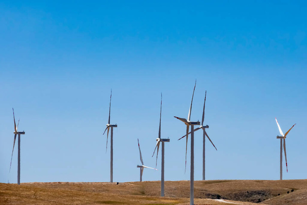 Doğada yenilenebilir rüzgar gücü - Vektör, Görsel