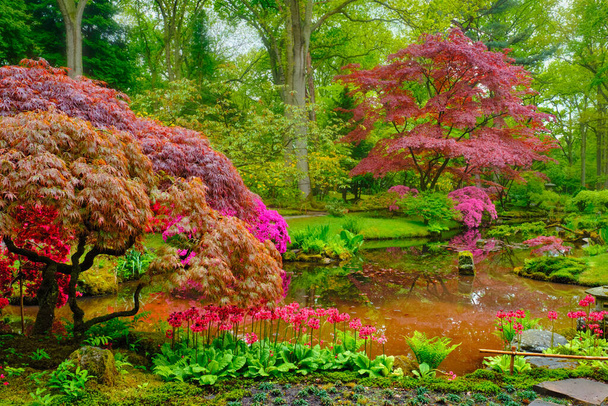 Jardim japonês, Park Clingendael, Haia, Países Baixos - Foto, Imagem