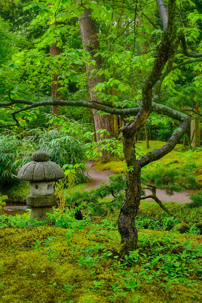Jardin japonais, Parc Clingendael, La Haye, Pays-Bas - Photo, image